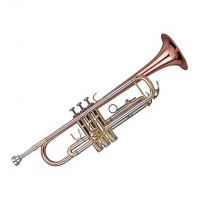 WISEMANN DTR-400 | Trompeta Llave Bb Laton Lacado 