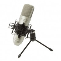 TASCAM TM-80 | Micrófono Condensador de estudio